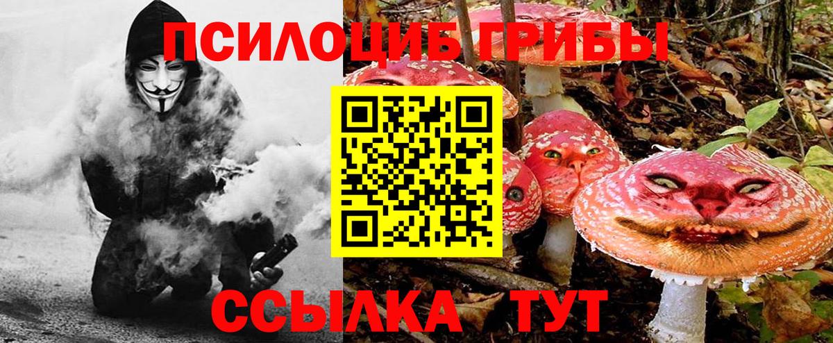 Югорск  Галлюциногенные грибы GOLDEN TEACHER  Вход с VPN  Псилоцибиновые грибы Magic Shrooms 